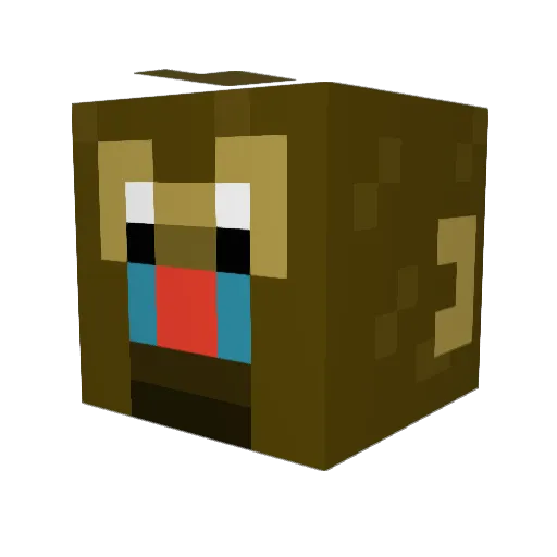 HackerCracker969 Minecraft avatar head, 3D render