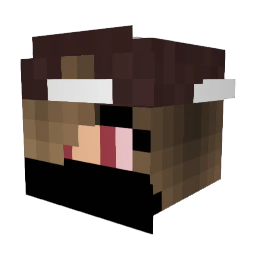 HackerGurl1234 Minecraft avatar head, 3D render