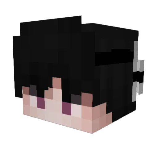 Hacker_XQ_ Minecraft avatar head, 3D render