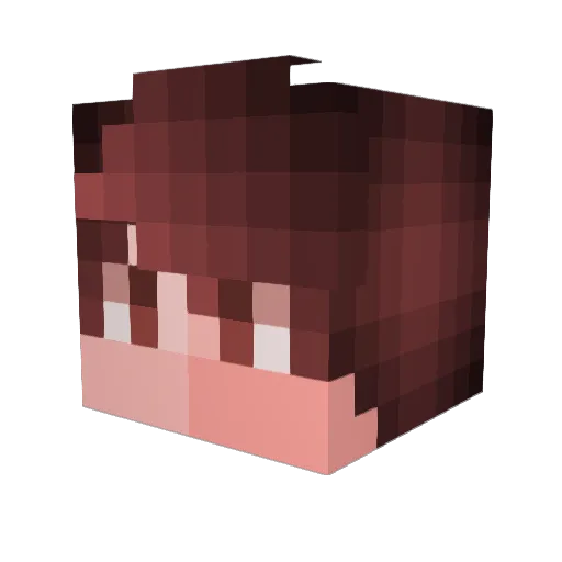 Hackerii_I Minecraft avatar head, 3D render