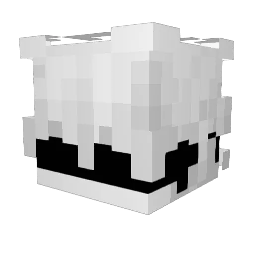 Hackerpro1 Minecraft avatar head, 3D render