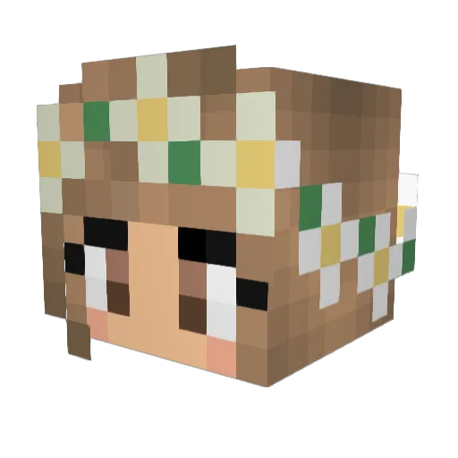 Hackerzy Minecraft avatar head, 3D render