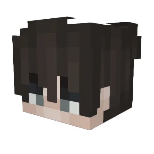 HackingCrumpets Minecraft avatar head, 3D render