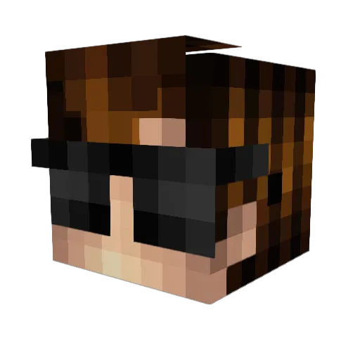 HackingLife Minecraft avatar head, 3D render