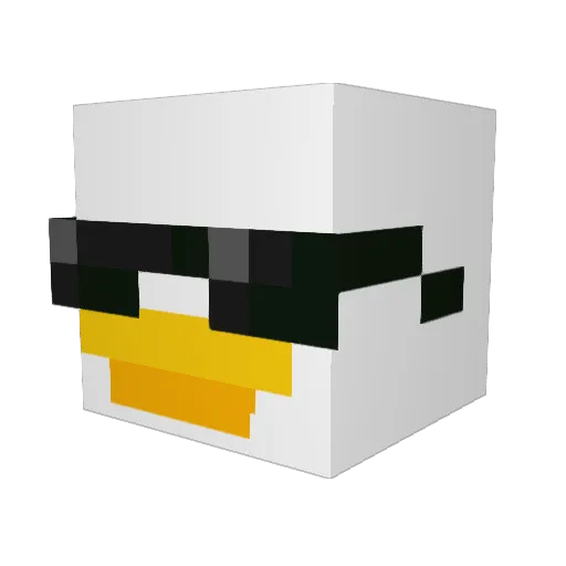 HackitPacket Minecraft avatar head, 3D render