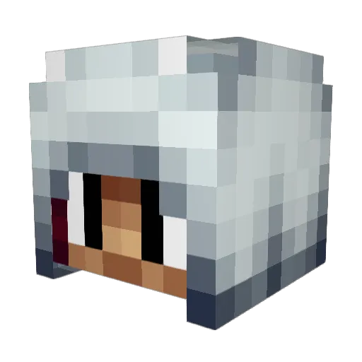 Hackold Minecraft avatar head, 3D render