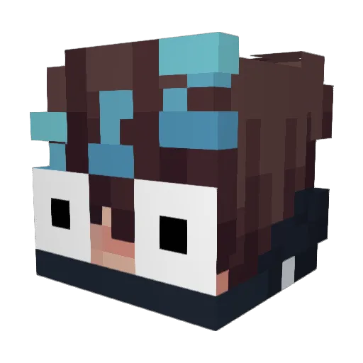 HacksFarmer11 Minecraft avatar head, 3D render