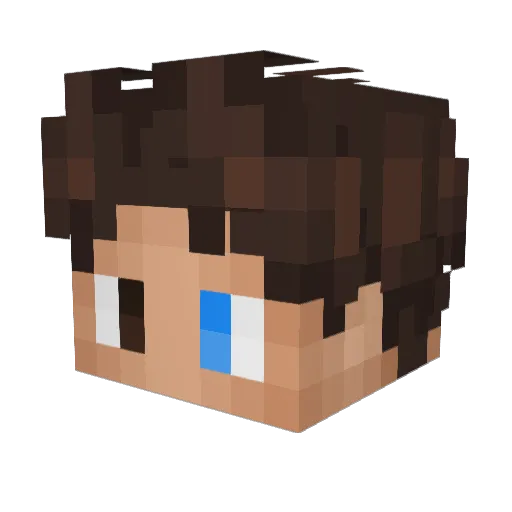Hacks_010 Minecraft avatar head, 3D render