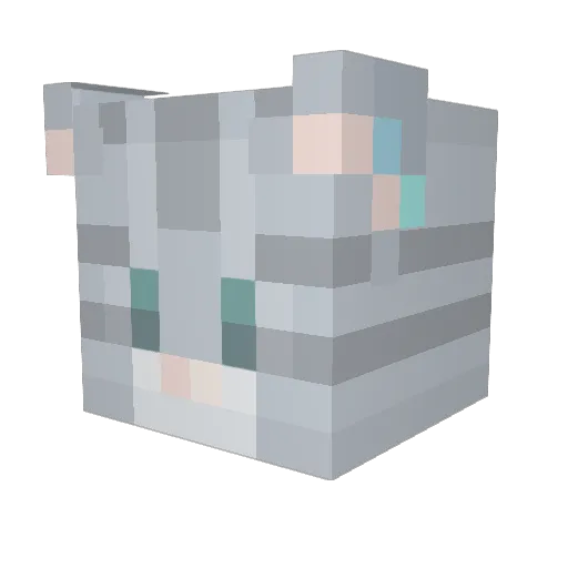 Hacksnow8906557 Minecraft avatar head, 3D render