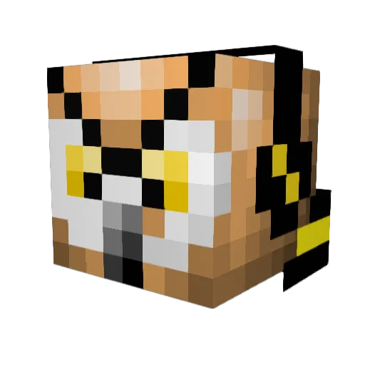 Hacksource_123 Minecraft avatar head, 3D render