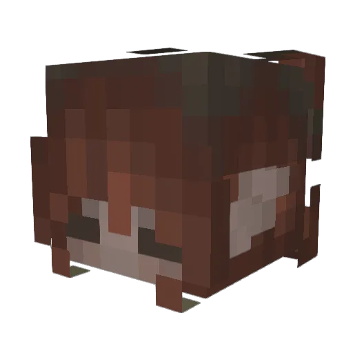HadalFins Minecraft avatar head, 3D render