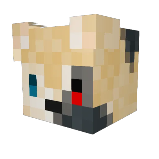 HadenJames97 Minecraft avatar head, 3D render