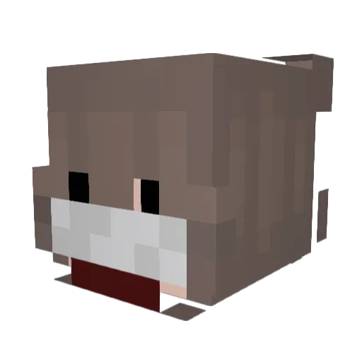 Hades444341 Minecraft avatar head, 3D render