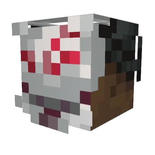 HadesGamer17 Minecraft avatar head, 3D render
