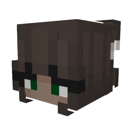 HadesTwilight25 Minecraft avatar head, 3D render