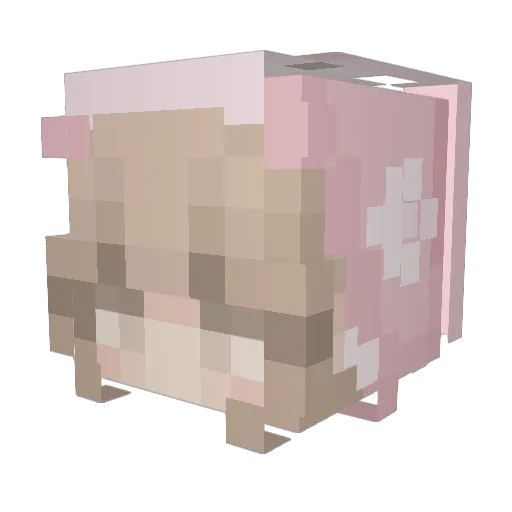 HadleyLovesPasta Minecraft avatar head, 3D render