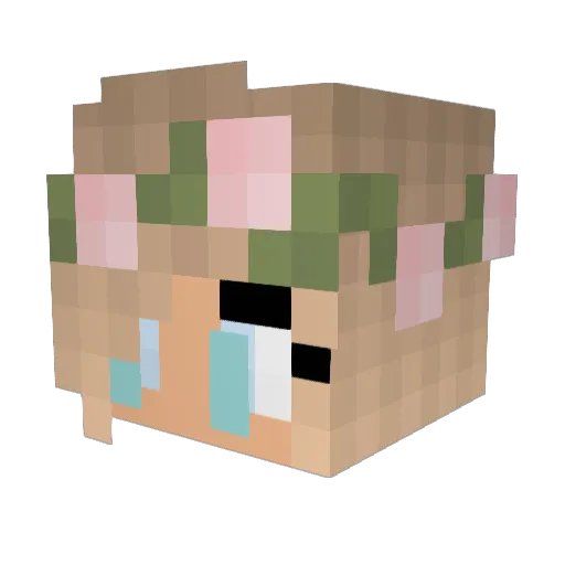 HadleyMiner1 Minecraft avatar head, 3D render