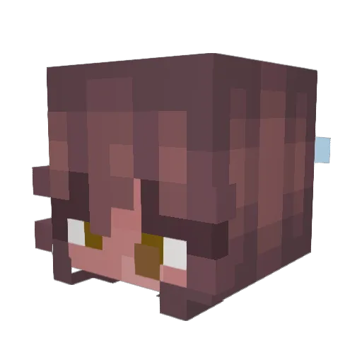 Hadleymo Minecraft avatar head, 3D render