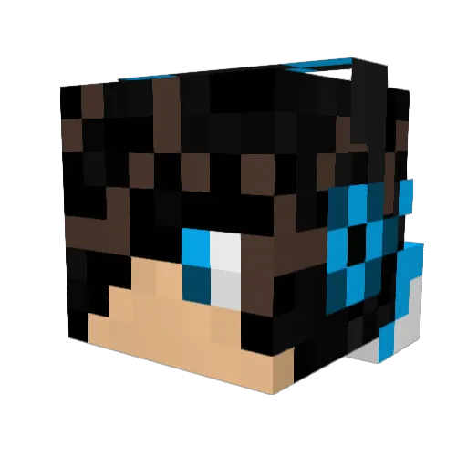 Hado05yt Minecraft avatar head, 3D render