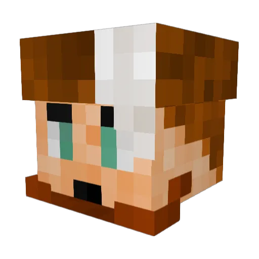 Hadri2 Minecraft avatar head, 3D render