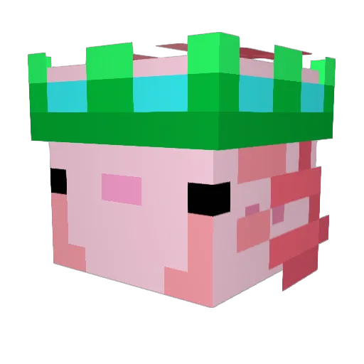 HadsDaBestBoi Minecraft avatar head, 3D render