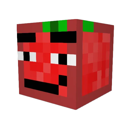 HadsakeRTC Minecraft avatar head, 3D render