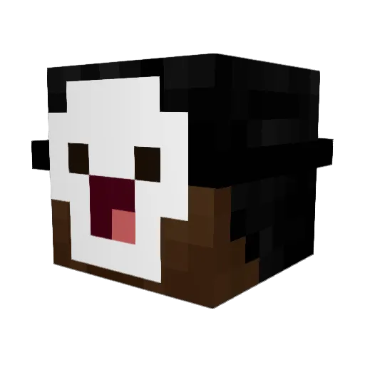 Hadschiman Minecraft avatar head, 3D render