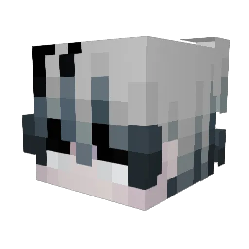 Hadster30 Minecraft avatar head, 3D render