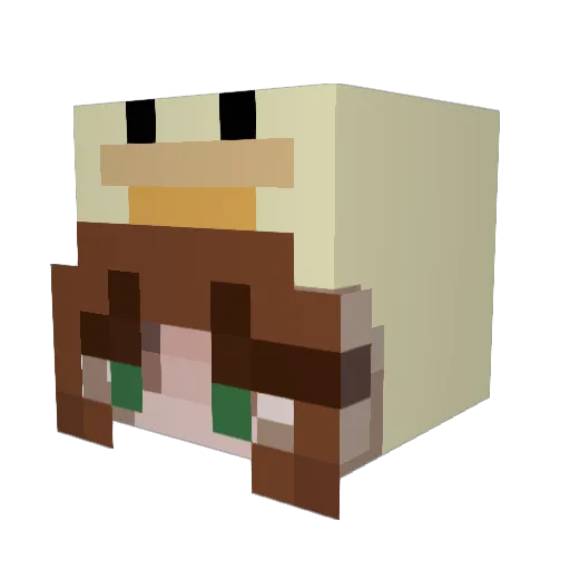 Hadyn12 Minecraft avatar head, 3D render