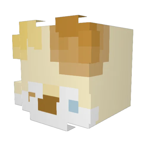 Hae_6H Minecraft avatar head, 3D render