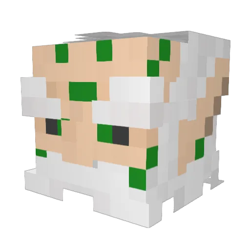 Hael_Storm Minecraft avatar head, 3D render