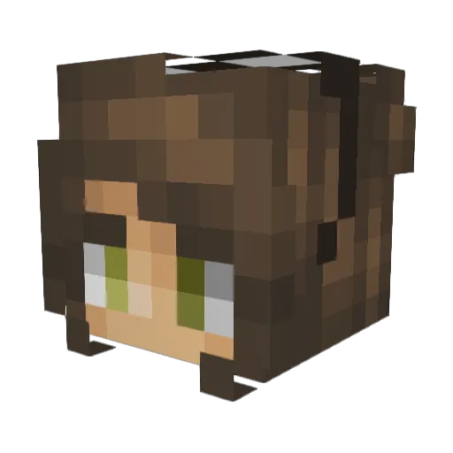Haether Minecraft avatar head, 3D render