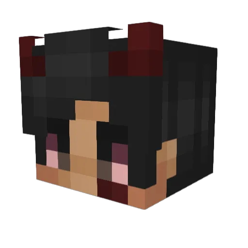 Hafanya69 Minecraft avatar head, 3D render