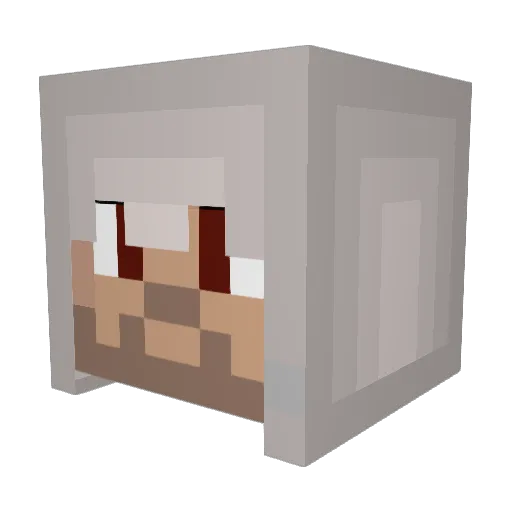 Haffinatorr Minecraft avatar head, 3D render