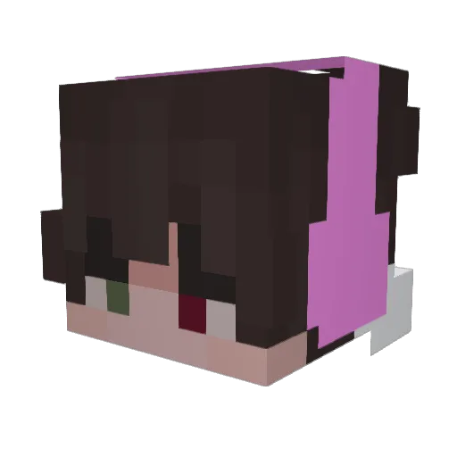 Hafka3338 Minecraft avatar head, 3D render