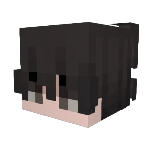 Hafnium780 Minecraft avatar head, 3D render