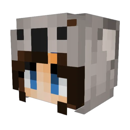 Hafo82 Minecraft avatar head, 3D render