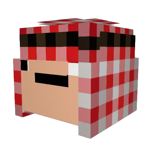Hafslund_98 Minecraft avatar head, 3D render