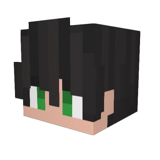 HagaBaga Minecraft avatar head, 3D render
