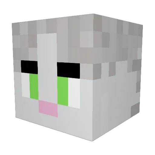 Hagan1227 Minecraft avatar head, 3D render