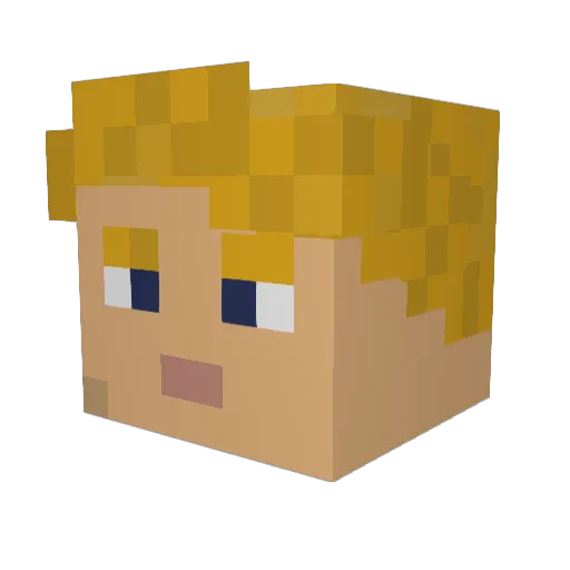 Hagebutten Minecraft avatar head, 3D render