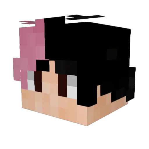 Hahahasanaha Minecraft avatar head, 3D render