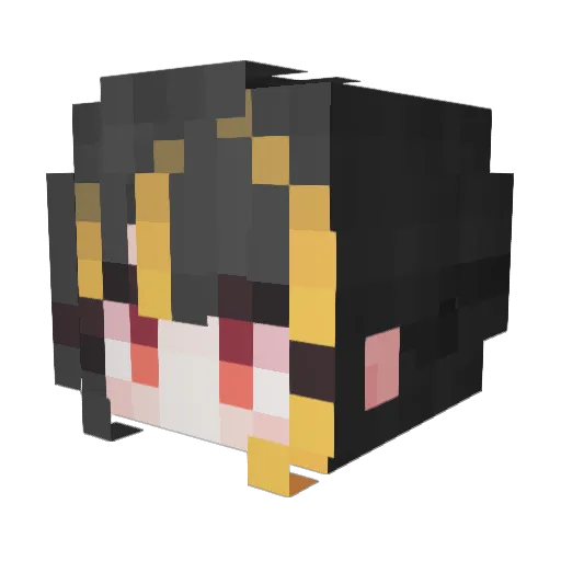 Hahas1011 Minecraft avatar head, 3D render