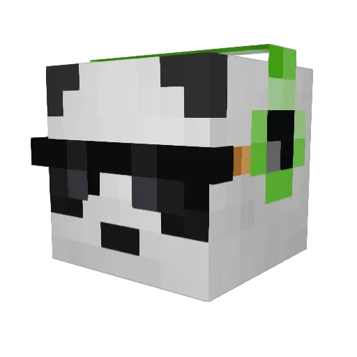 HahnBomb22 Minecraft avatar head, 3D render
