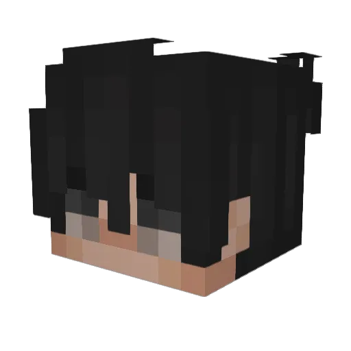 Hahnees4444 Minecraft avatar head, 3D render