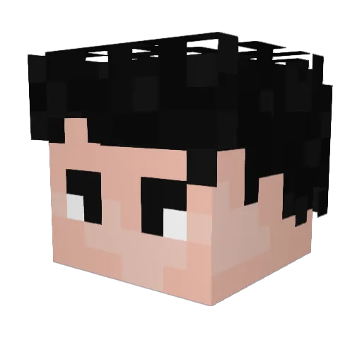 Hahrte Minecraft avatar head, 3D render
