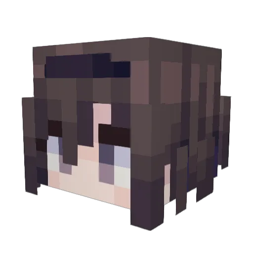 Hai_TaiDXMV Minecraft avatar head, 3D render