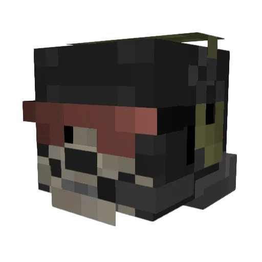 Hai_la_o_shaorma Minecraft avatar head, 3D render