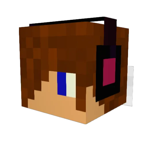 Haidous Minecraft avatar head, 3D render