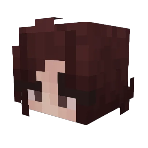 Haiilyyy Minecraft avatar head, 3D render